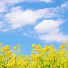 当事業所の特徴